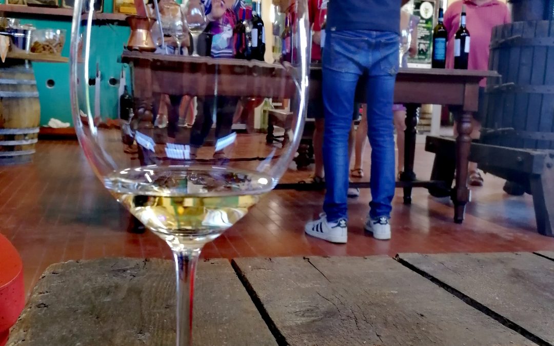 Il Verdicchio di Matelica: storia e tradizione
